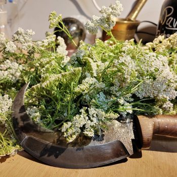 fleurs serpe pilon
