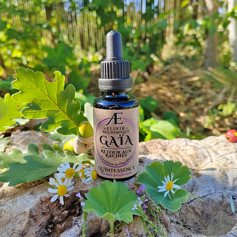 Quintessence Gaia