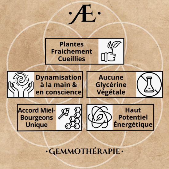 Gemmothérapie concentrée Elixir ALchimique