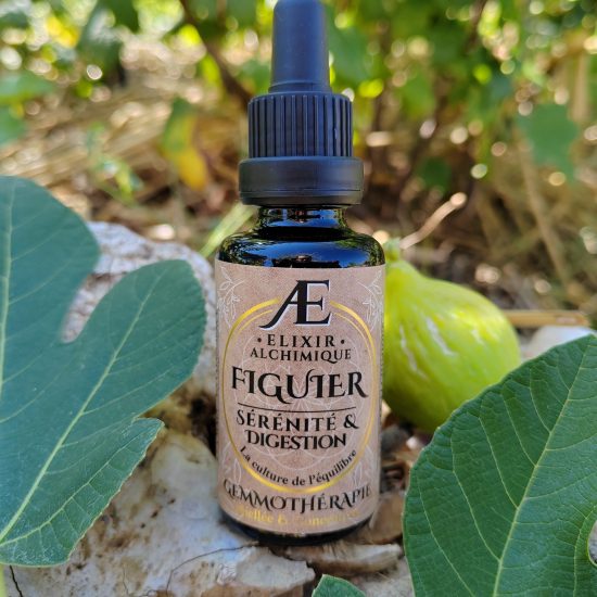 gemmo Macérât-mère-bourgeon de Figuier, Elixir Alchimique