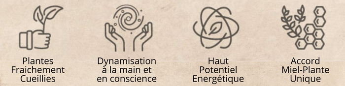 Teintures Meres Miellées Elixir Alchimique T2M