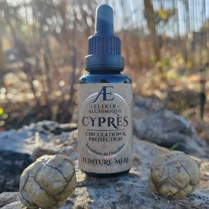 teinture mere T2M cyprès Elixir Alchimique phytothérapie de qualité