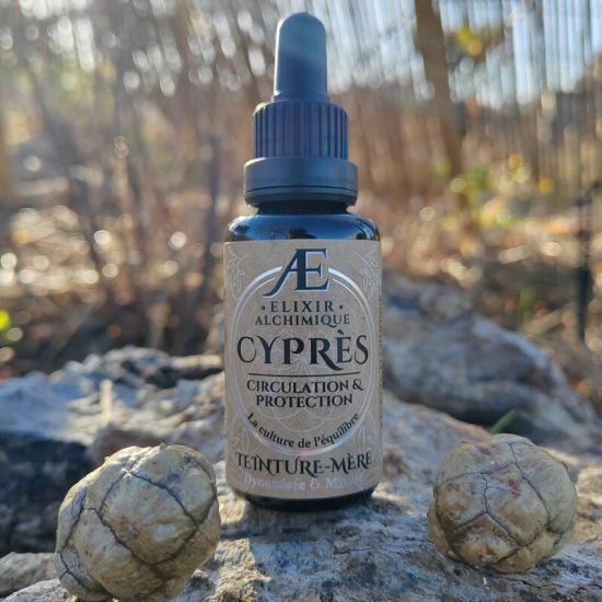 teinture mere T2M cyprès Elixir Alchimique phytothérapie de qualité