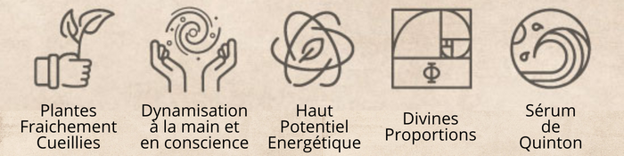 Picto Quintessences Elixir Alchimique