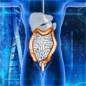 Digestion