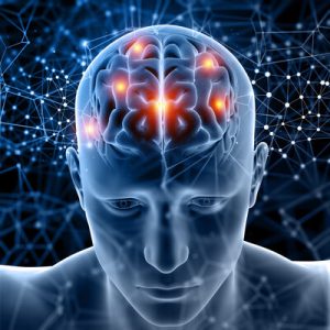 Cerveau & Focalisation