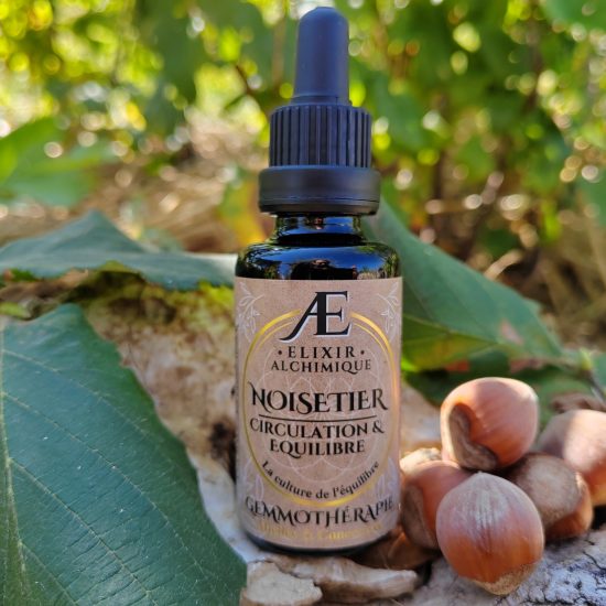 gemmothérapie Concentrée Noisetier Elixir Alchimique