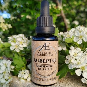 teinture-mère aubépine elixir alchimique phytothérapie concentrée