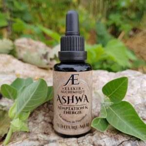 teinture mère miellée concentrée d'Ashwagandha, plante adaptogène pour lutter naturellement contre le stress, favoriser le sommeil et stimuler grâce aux plantes médicinales locales Elixir Alchimique phytothérapie de qualité