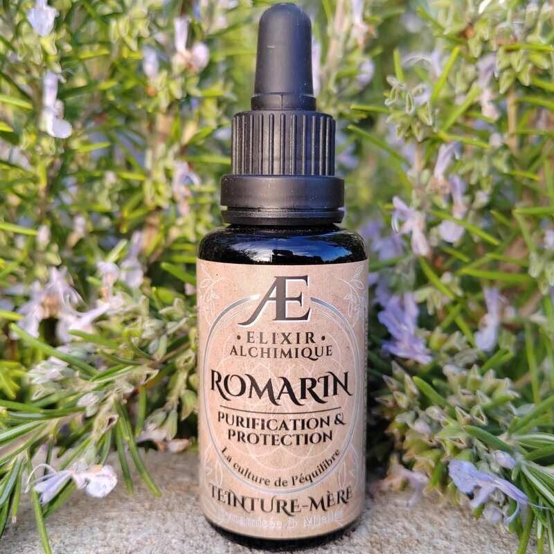 teinture mère miellée de Romarin Elixir Alchimique phytothérapie concentrée purification hépatique detox protection cellulaire