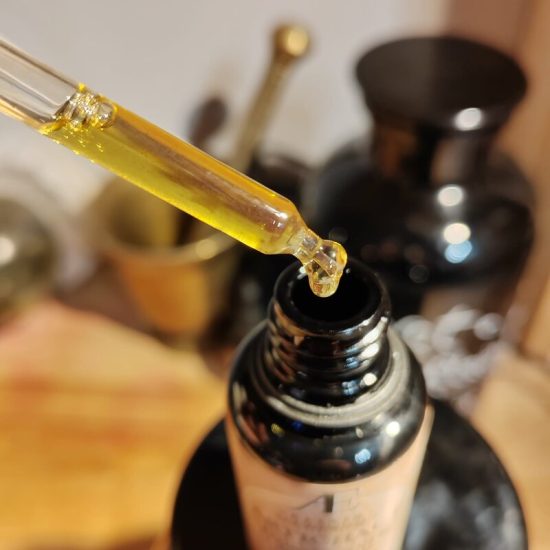 artichaut phytothérapie elixir alchimique
