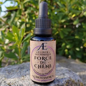 quintessence force du chêne énergie elixir alchimique