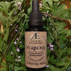 verveine officinale teinture mère concentrée relaxation stress digestion élixir alchimique