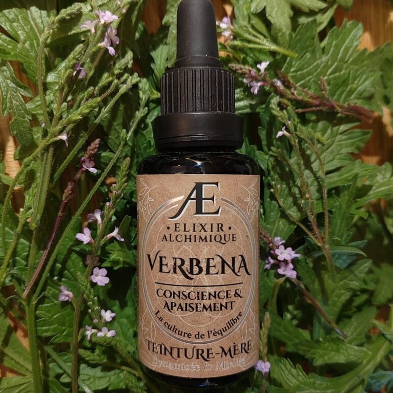 verveine officinale teinture mère concentrée relaxation stress digestion élixir alchimique