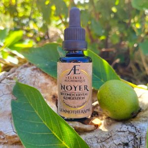 gemmothérapie bourgeons de noyer elixir alchimique digestion et intestin