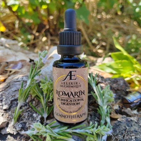gemmothérapie romain elixir alchimique détoxification foie