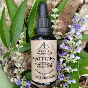 teinture mere gattilier miellée concentrée elixir alchimique équilibre hormonal et féminin sacré