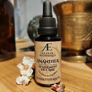 gemmothétapie amandier bourgeons elixir alchimique apaisement et circulation