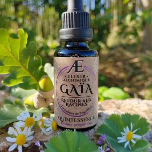 quintessence elixir alchimique gaia ancrage stabilité chakra racine Phytothérapie et Gemmothérapie concentrée