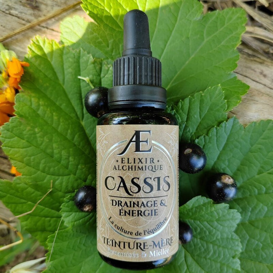 teinture mère cassis phytothérapie drainage energie articulation elixir alchimique