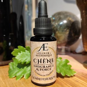 gemmothérapie miellée concentrée de bourgeons de chêne énergie et fertilité elixir alchimique