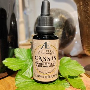 gemmothérapie bourgeons de cassis macérât-mère concentrée elixir alchimique