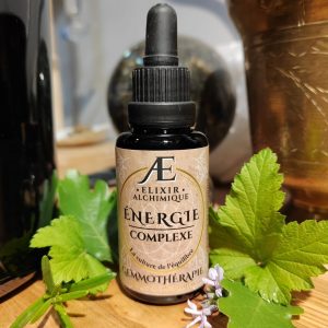 gemmothérapie concentrée et miellée complexe énergie elixir alchimique