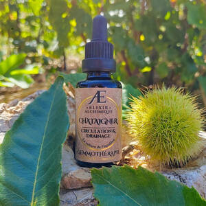 gemmothérapie miellée concentrée chataignier elixir alchique bourgeons frais circulation drainage veineux lymphatique