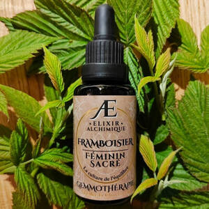 gemmothérapie concentrée framboisier bourgeons frais elixir alchimique féminin sacré, troubles menstruels, équilibre hormonal