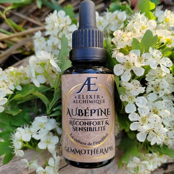 gemmothérapie elixir alchimique très concentrée sans glycérine 