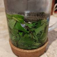 eau de menthe poivrée rafraichissante et circulatoire