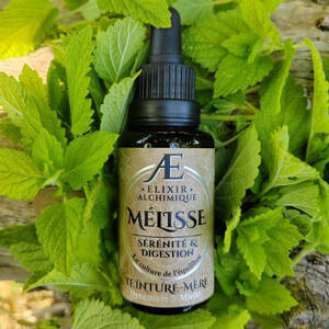 teinture mère miellée concentrée mélisse fraîche élixir alchimique stress digestion