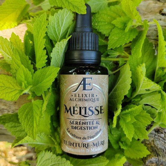 teinture mère miellée concentrée mélisse fraîche élixir alchimique stress digestion