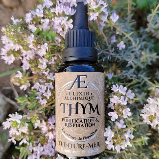 teinture-mère miellée et concentrée de Thym frais et local Elixir Alchimique