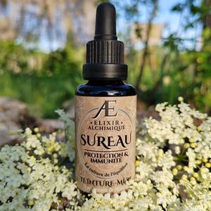 teinture mère phytothérapie immunité sureau concentré