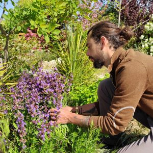 Florent-Vituret-osteopathe-herboriste